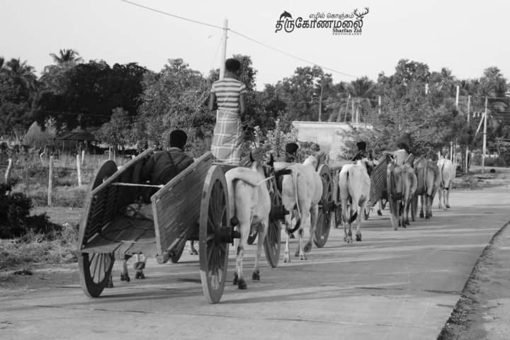 Uppuveli Beach House Trincomalee Esterno foto